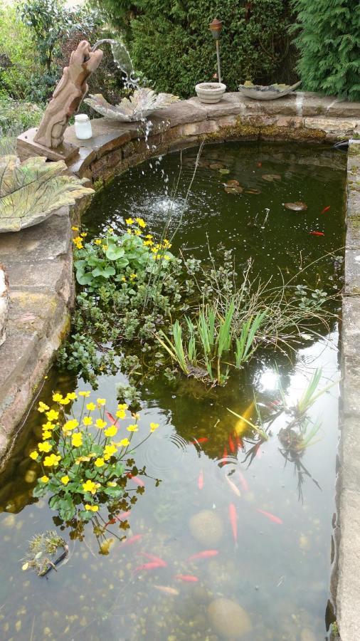 La Voivre Le Jardin Des Secrets住宿加早餐旅馆 外观 照片